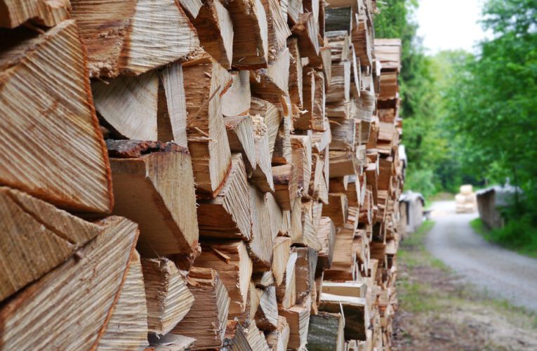 Jak dbać o drewno świerkowe? Praktyczne wskazówki i porady