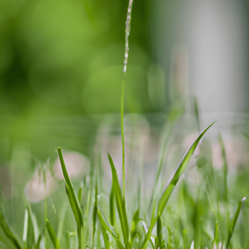 Sztuczna trawa: najlepsza alternatywa dla Twojego ogrodu
