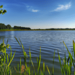 Odkryj uroki Jeziora Pogoria III - raj dla miłośników natury i sportów wodnych