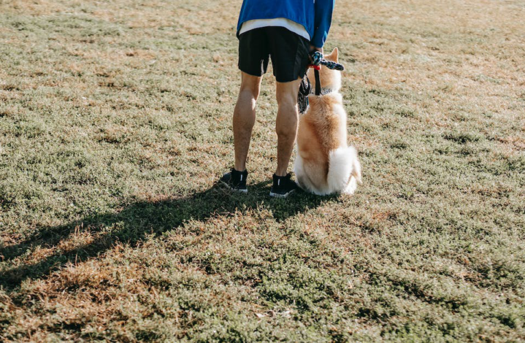 6 skutecznych sposobów jak zapobiegać szczekaniu psa gdy zostaje sam