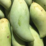 Mango – owoc pełen zdrowia i egzotycznych smaków który warto poznać